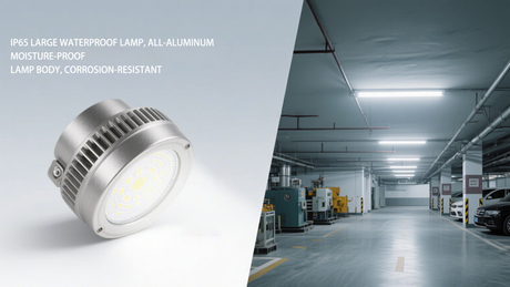 Dustproof explosion-proof lamp.jpg